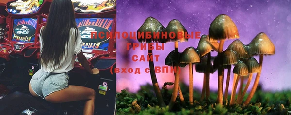 прущие крисы Алексеевка