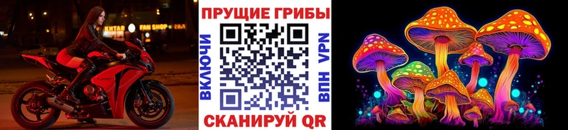 Псилоцибиновые грибы ЛСД Ветлуга